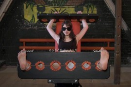 Kat Anim Stock  - D275