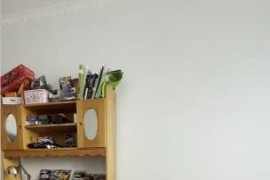 tk漂亮小少妇 - M266