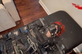 Safeword Zelda - P079