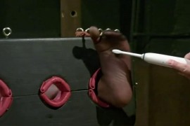 Black silk beauty - E966