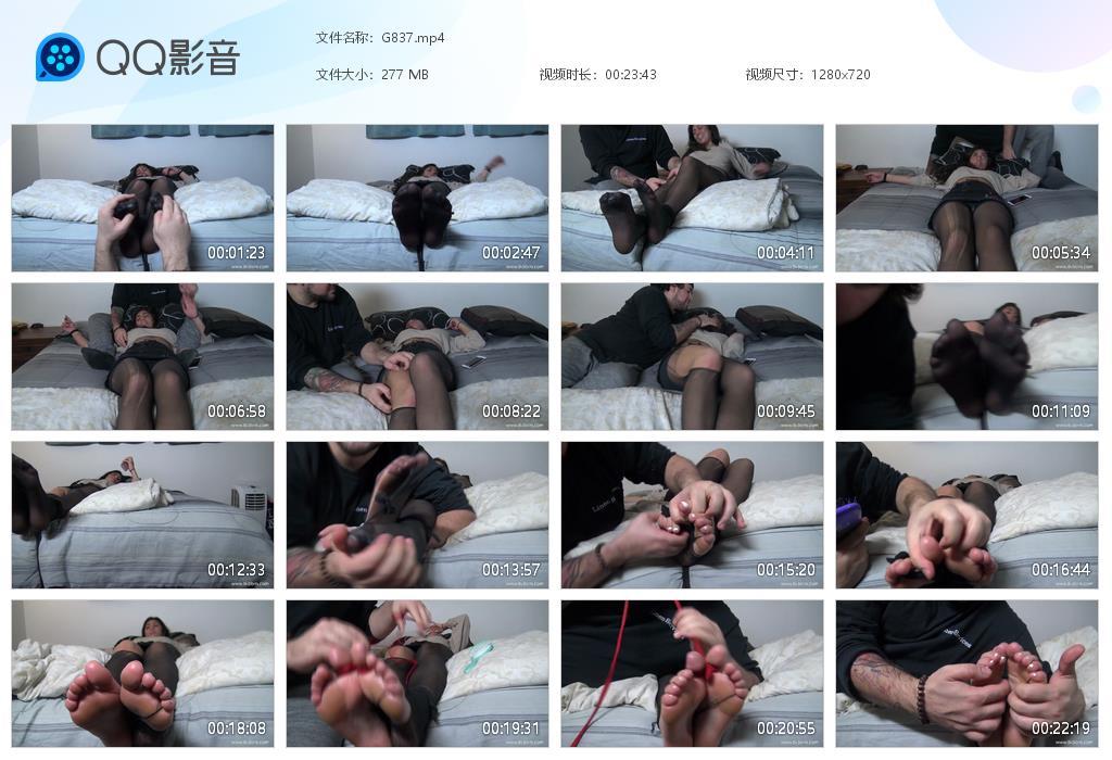 O.jpg Stephanie and Complaints - G837  第1张