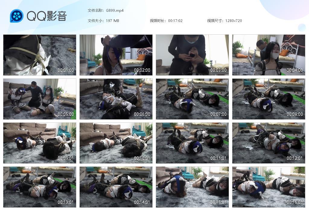 G.jpg T务支援科下 - G899  第1张